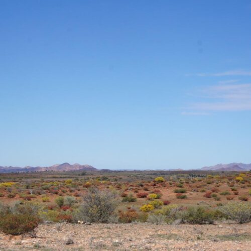 australian-desert